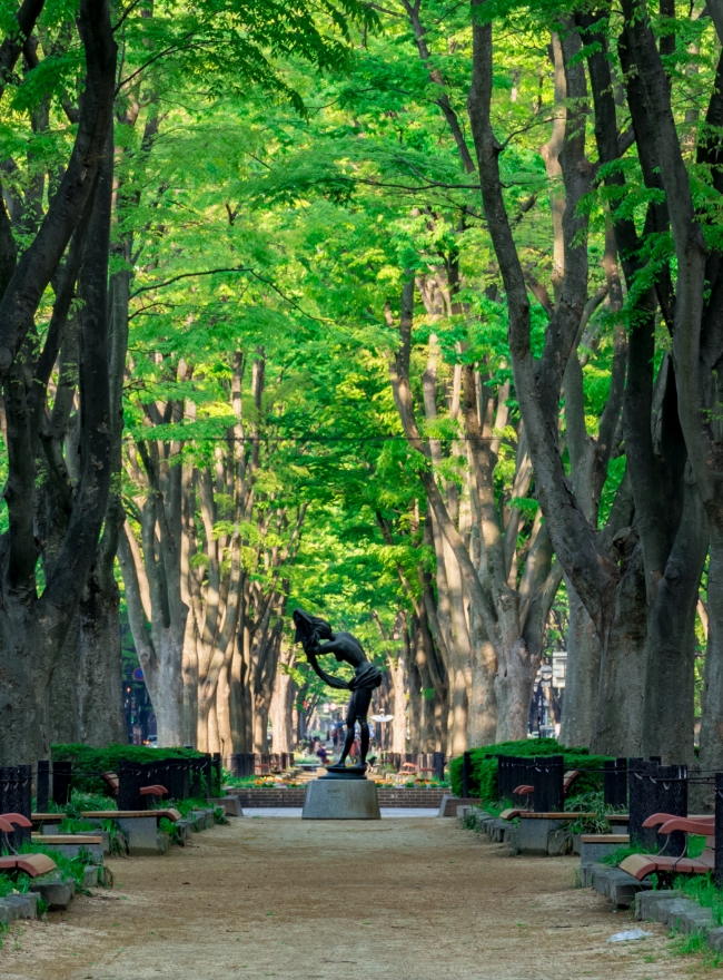 緑あふれる定禅寺通りにたたずむ銅像